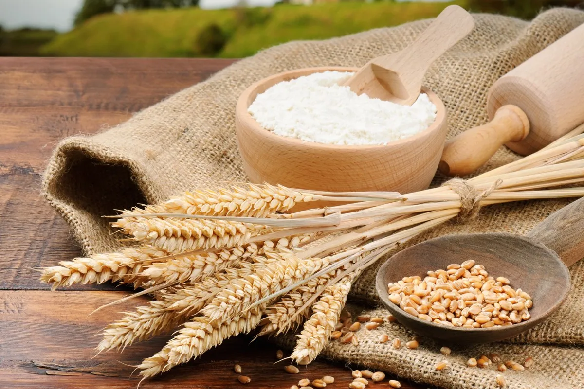 R2R Whole Wheat Powder 1000 Gm