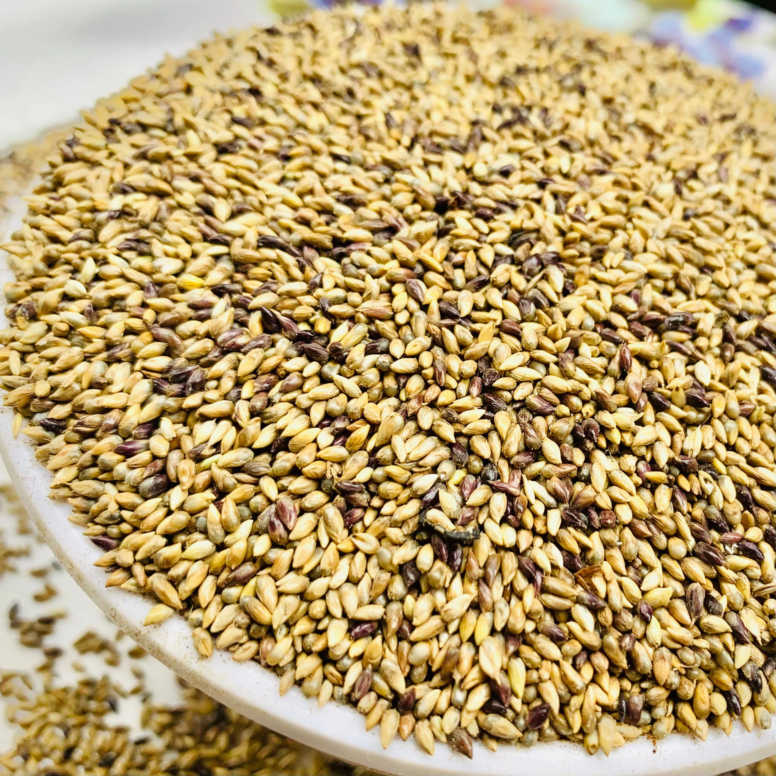 R2R Bajra Rice/Pearl Millet 500 Gm